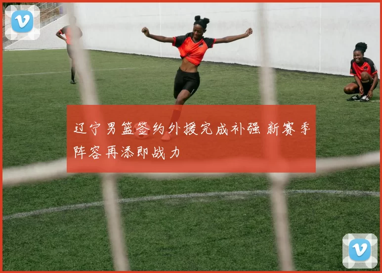 辽宁男篮签约外援完成补强 新赛季阵容再添即战力