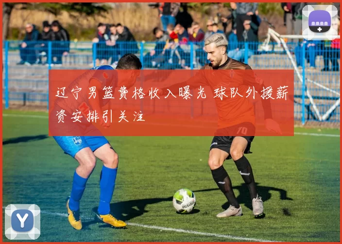 辽宁男篮费格收入曝光 球队外援薪资安排引关注